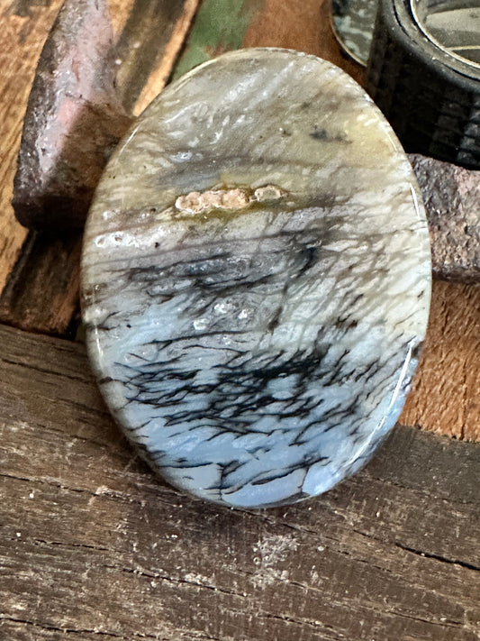 Petrified Wood cabochon