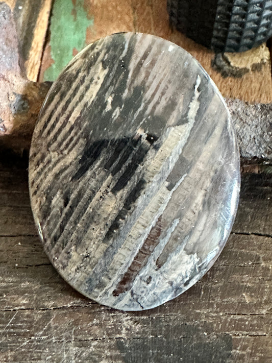 Petrified Wood cabochon