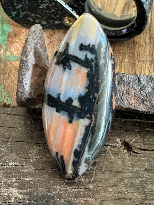 Petrified Wood cabochon