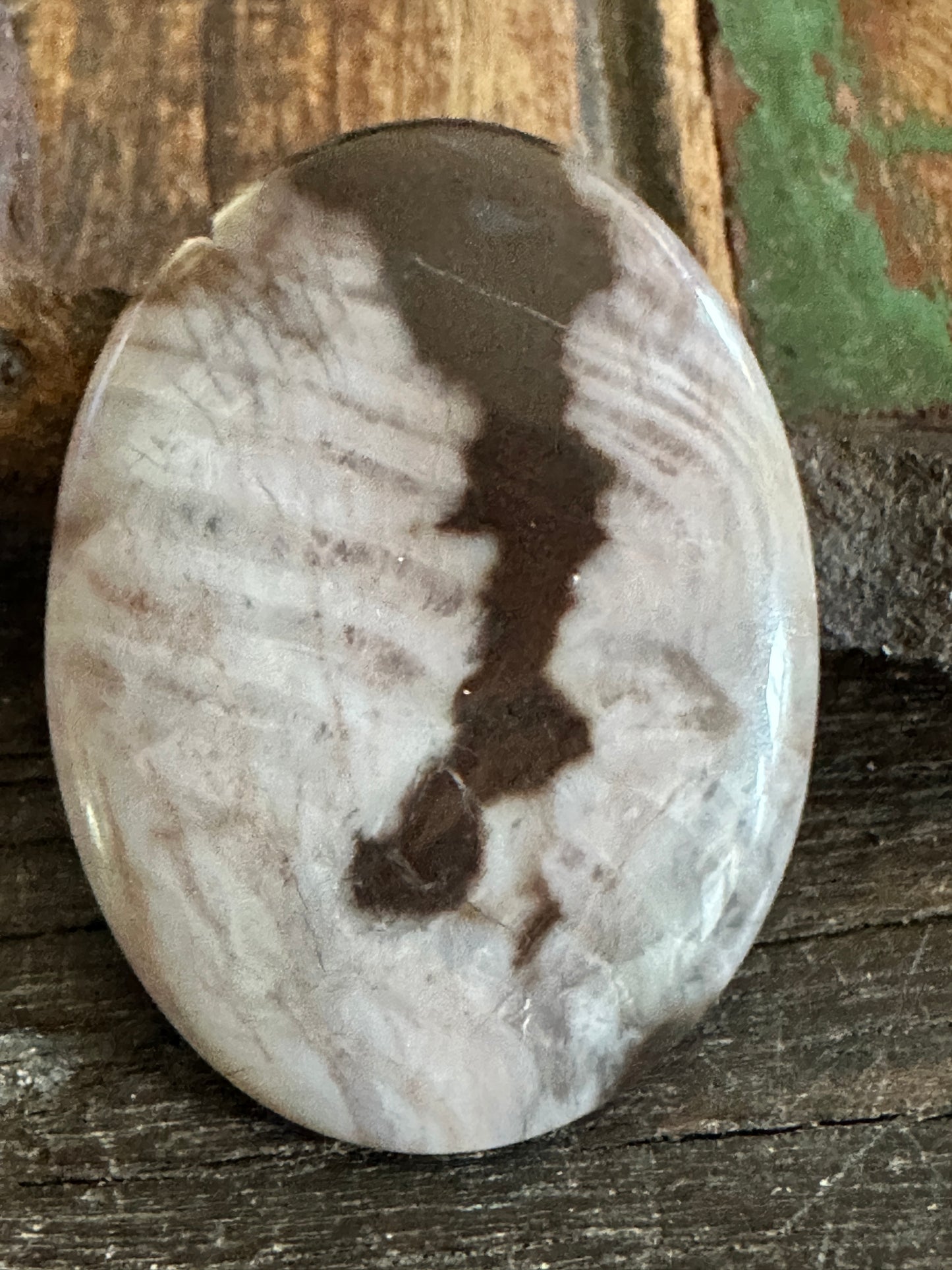 Petrified Wood cabochon