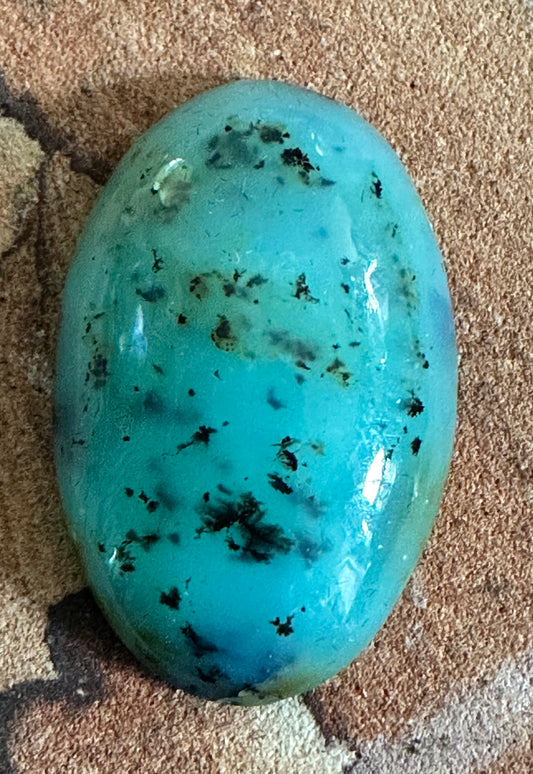 Dendritic Gem Silica