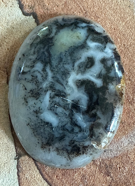 Black Moss Agate Cabochon