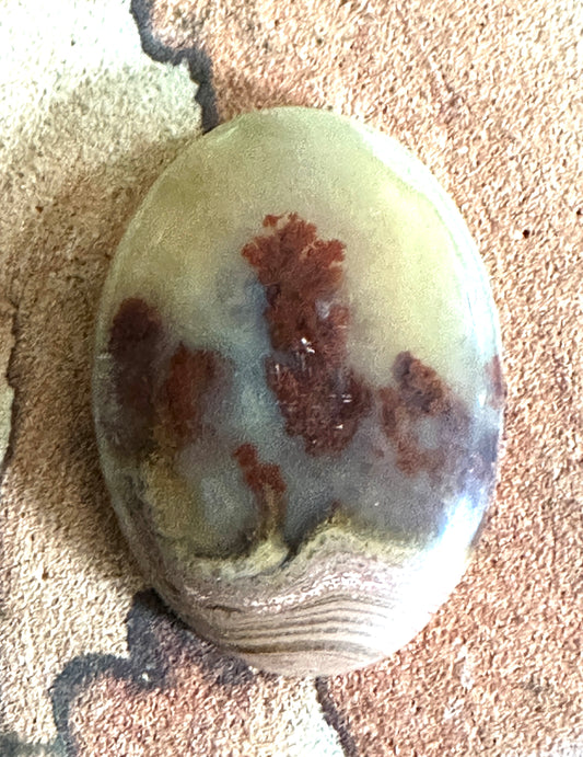Carey Plume Agate