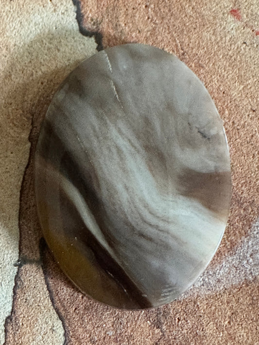 Petrified Wood