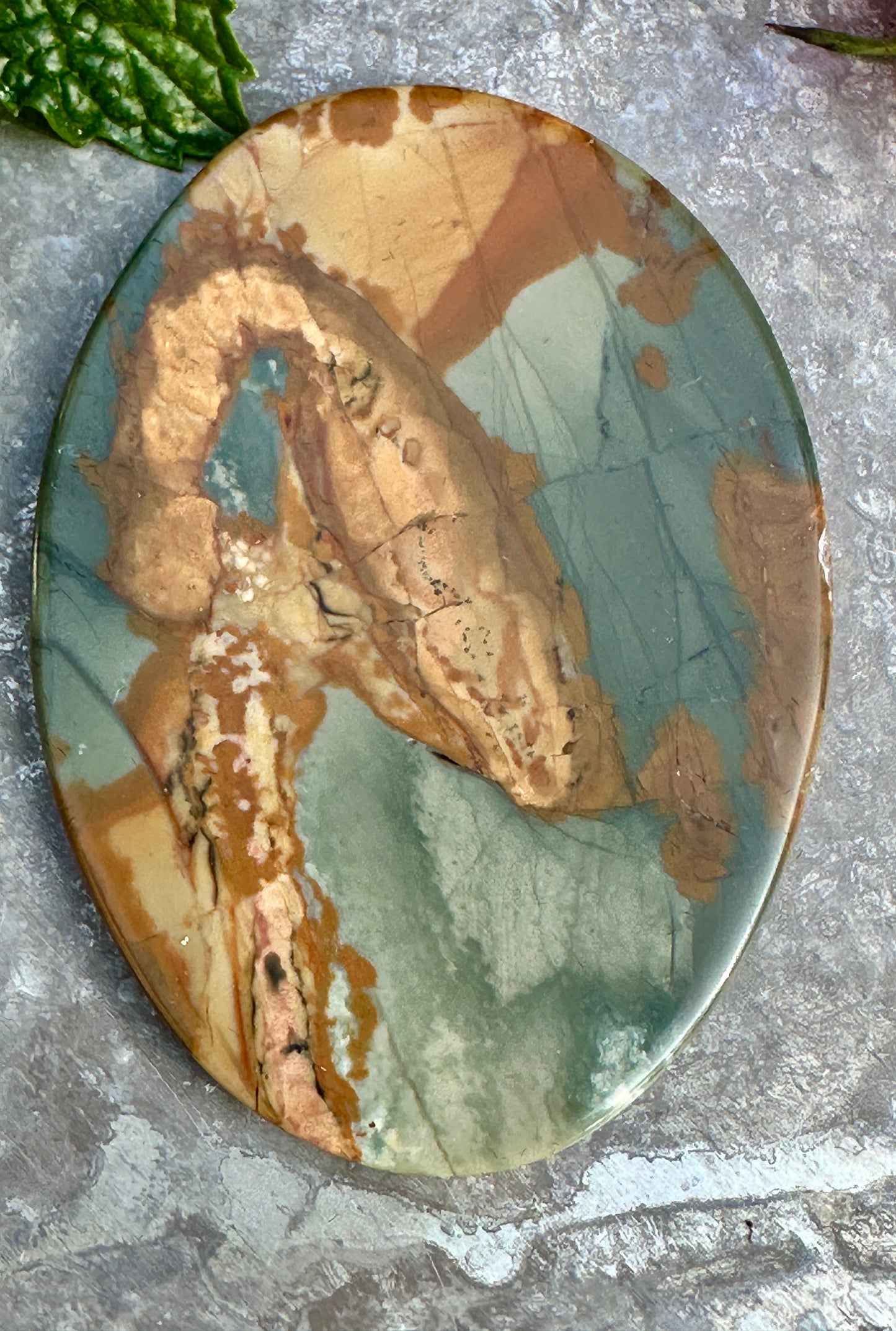 Owyhee Jasper