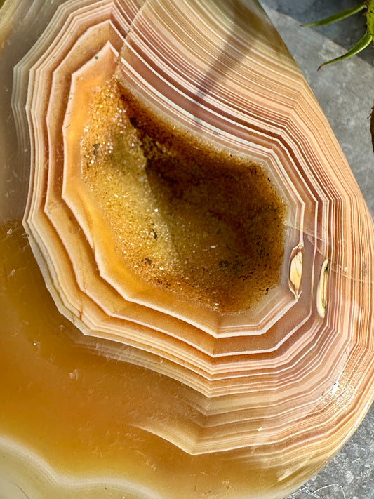 Laguna Agate with Drusy