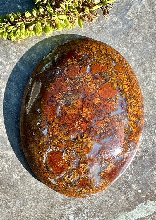 Brown Moss Agate