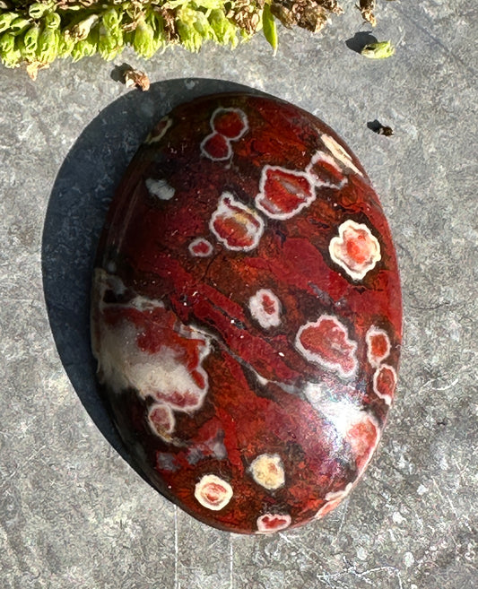 Morgan Hill Poppy Jasper
