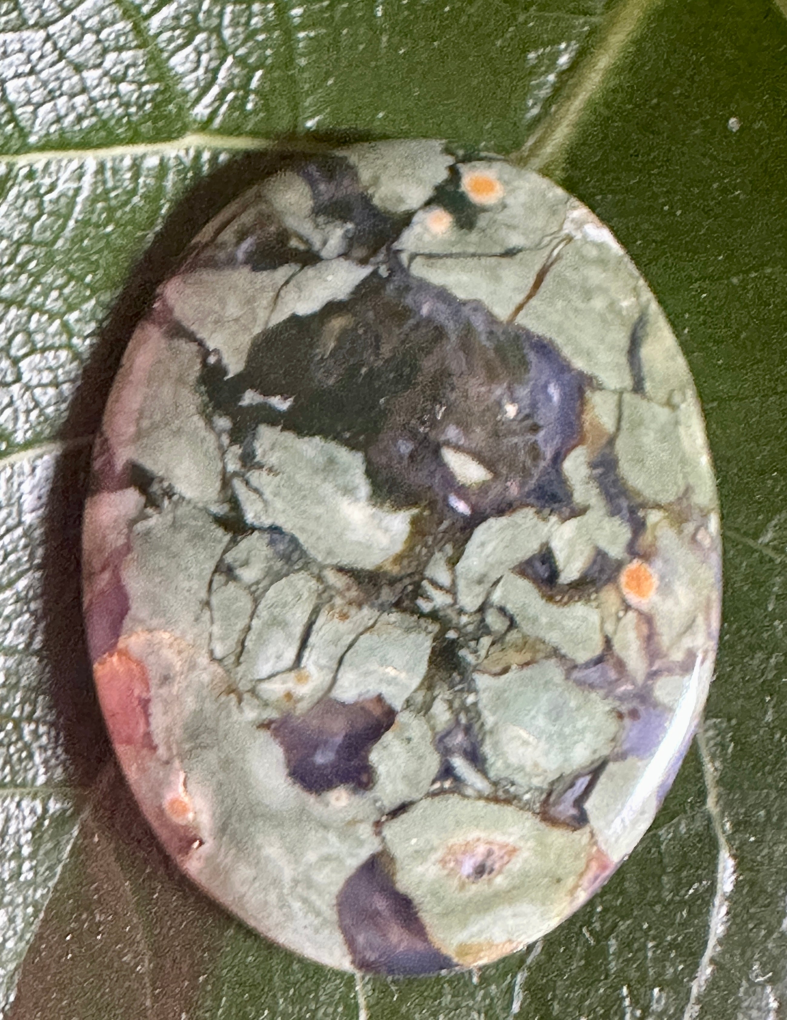 Rain Forest Rhyolite – Rock On! Minerals