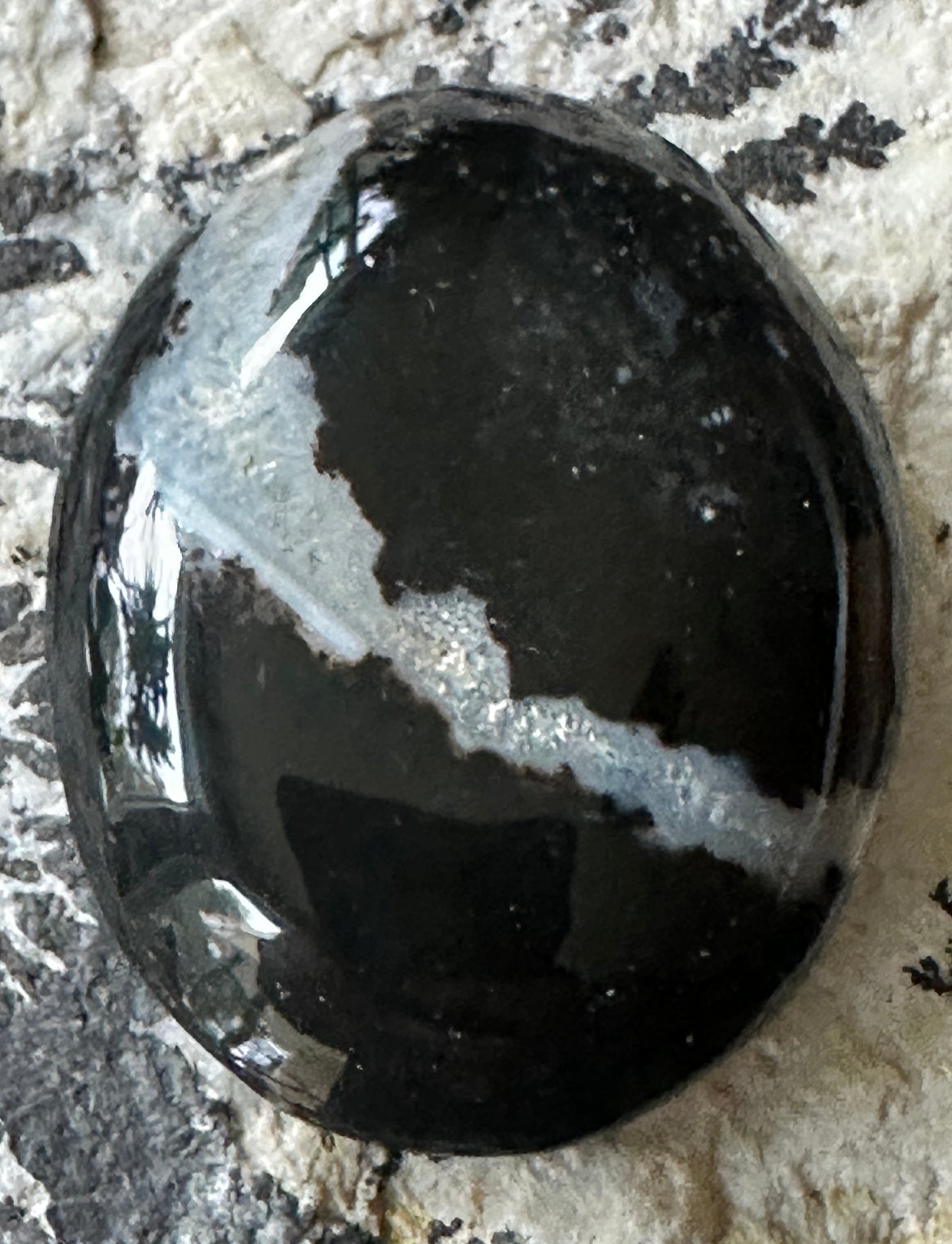 Black & White Stromatolite