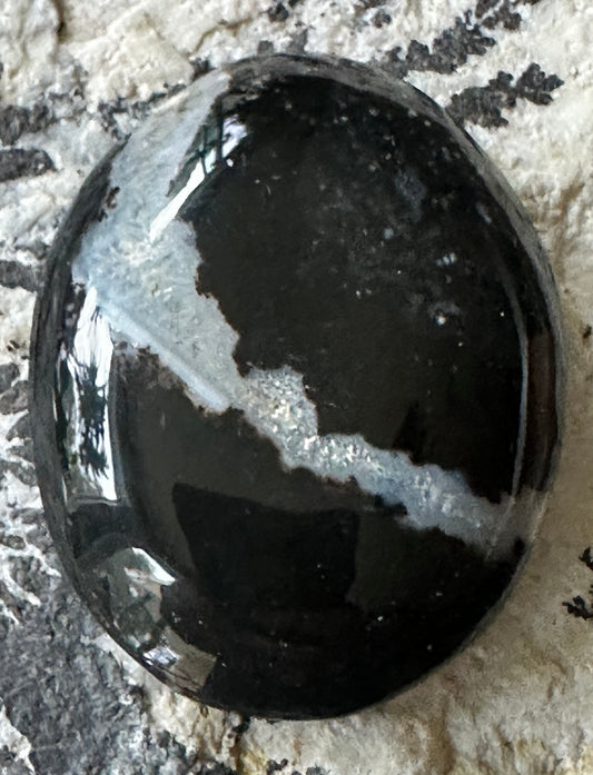 Black & White Stromatolite