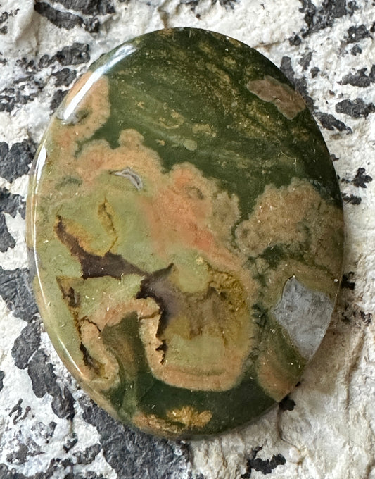 Rainforest Rhyolite