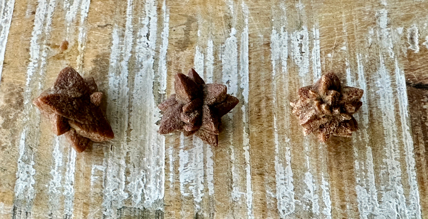 Glendonite (set of 3 crystal clusters)