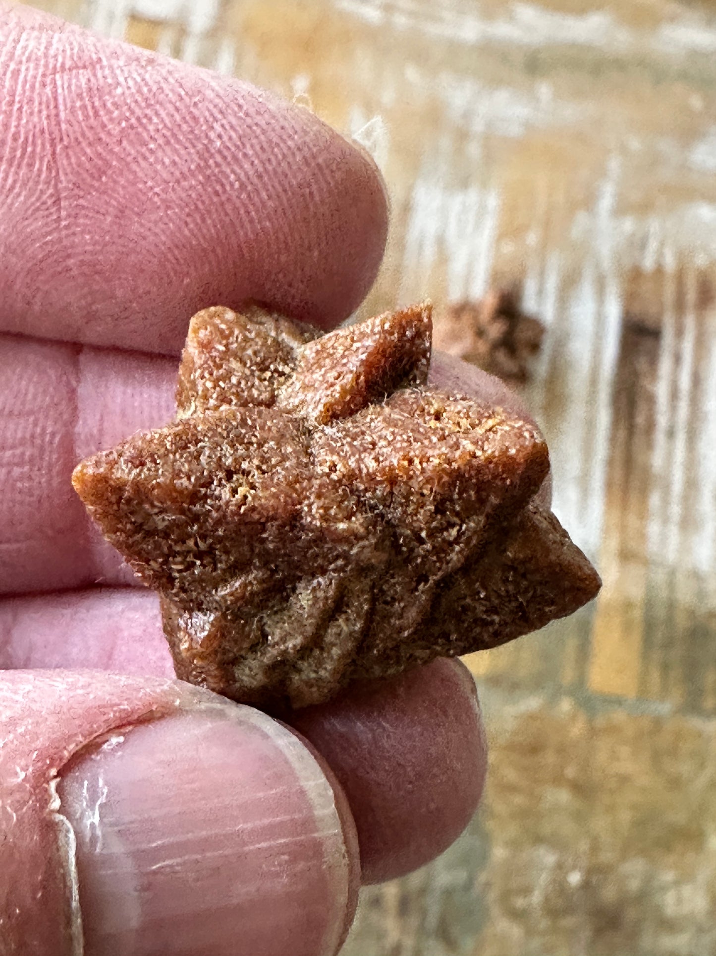 Glendonite (set of 3 crystal clusters)
