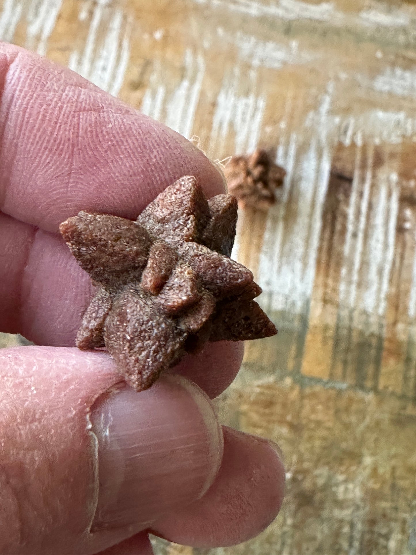 Glendonite (set of 3 crystal clusters)