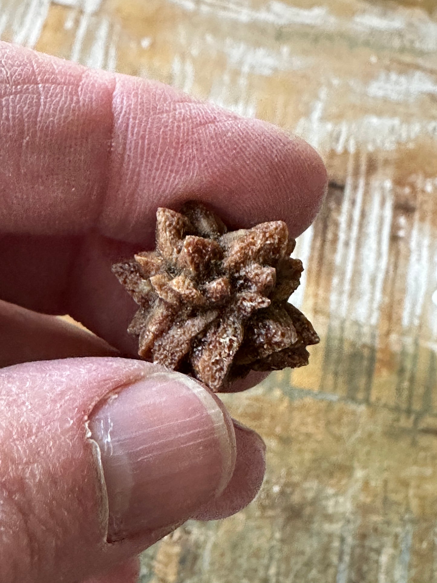 Glendonite (set of 3 crystal clusters)