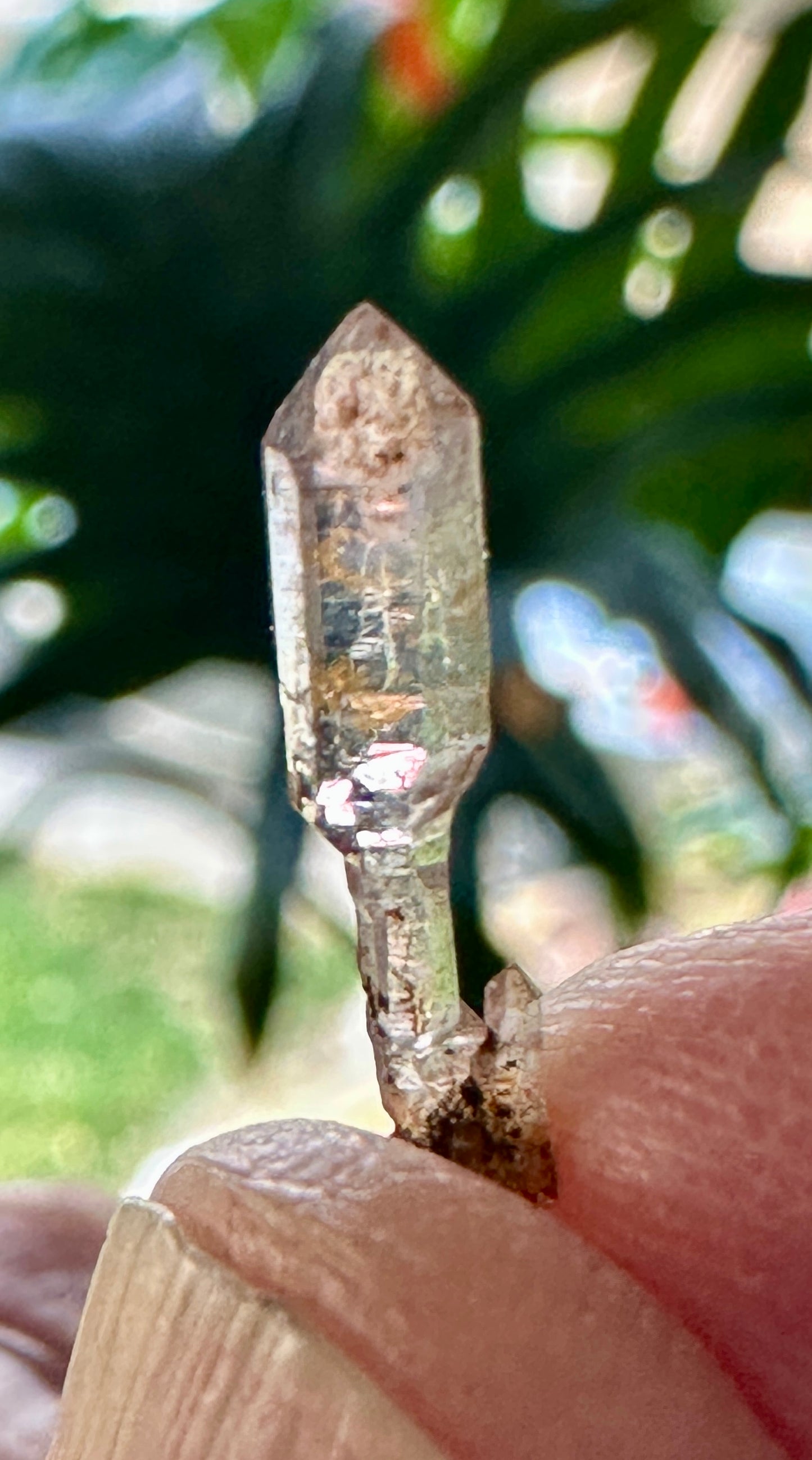 Amethyst Scepter from the Wah Wah Mountains of Utah