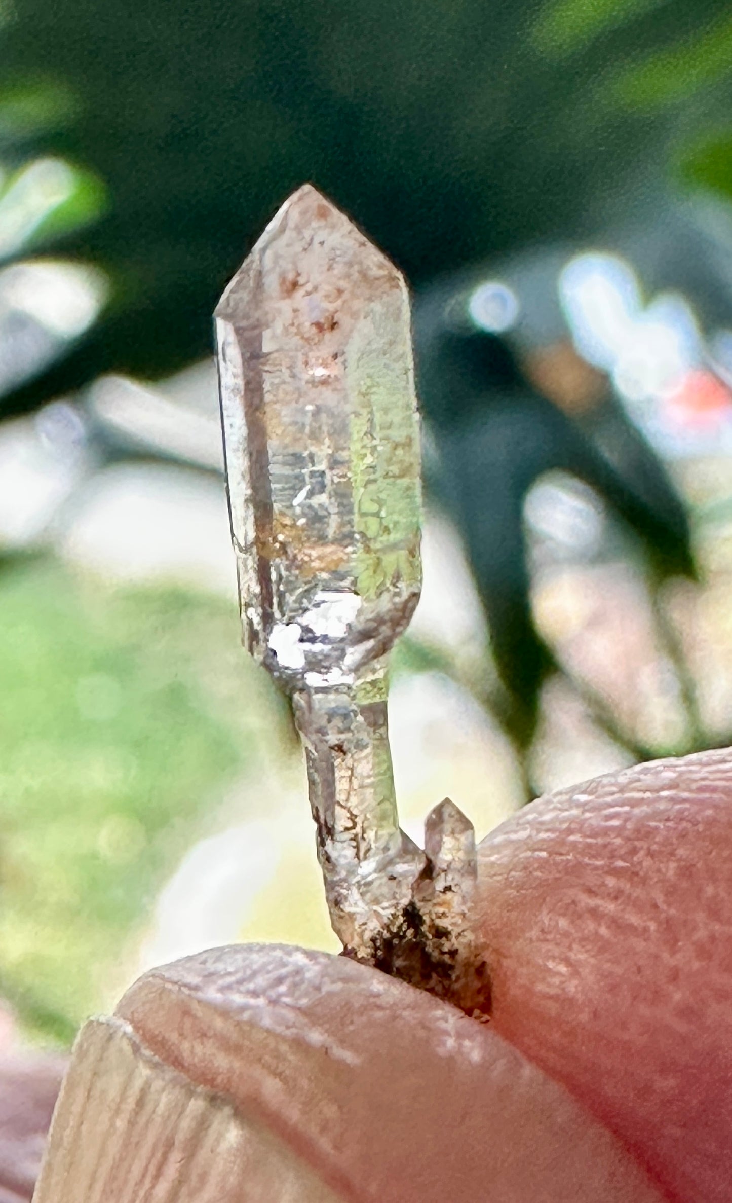 Amethyst Scepter from the Wah Wah Mountains of Utah