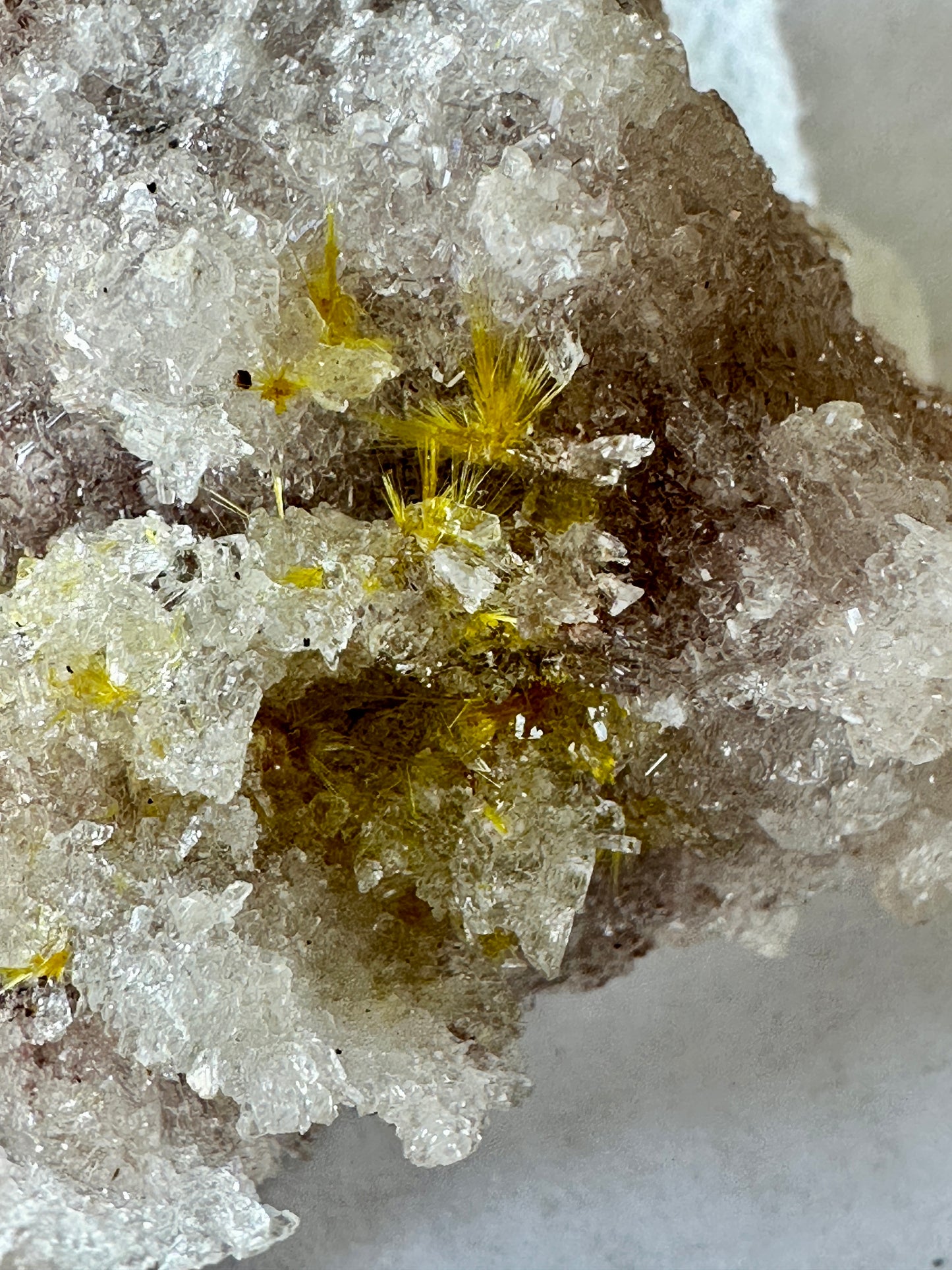 Novacekite on Gypsum