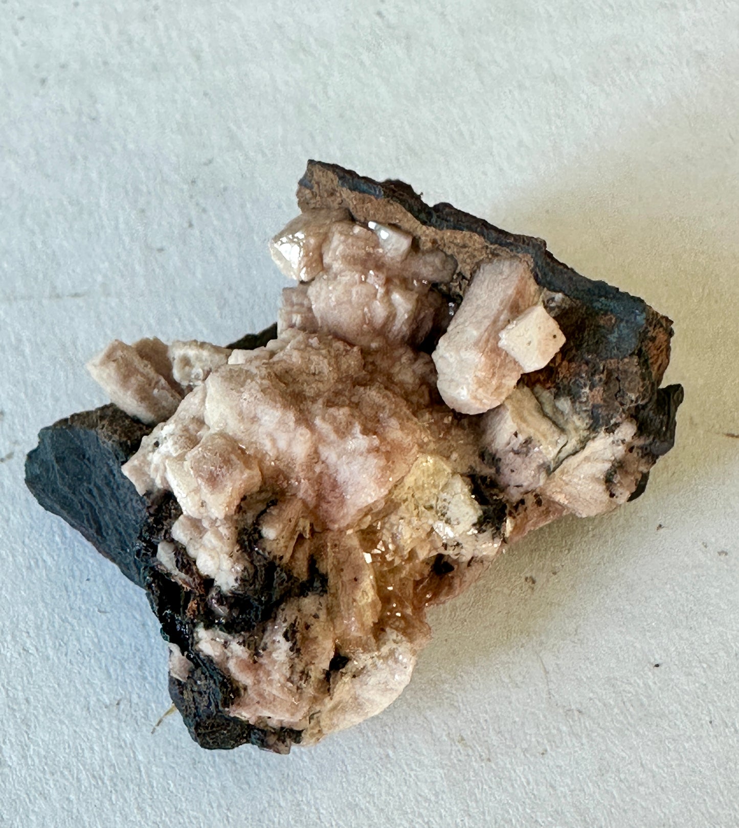 Poldervaartite Crystals on Matrix