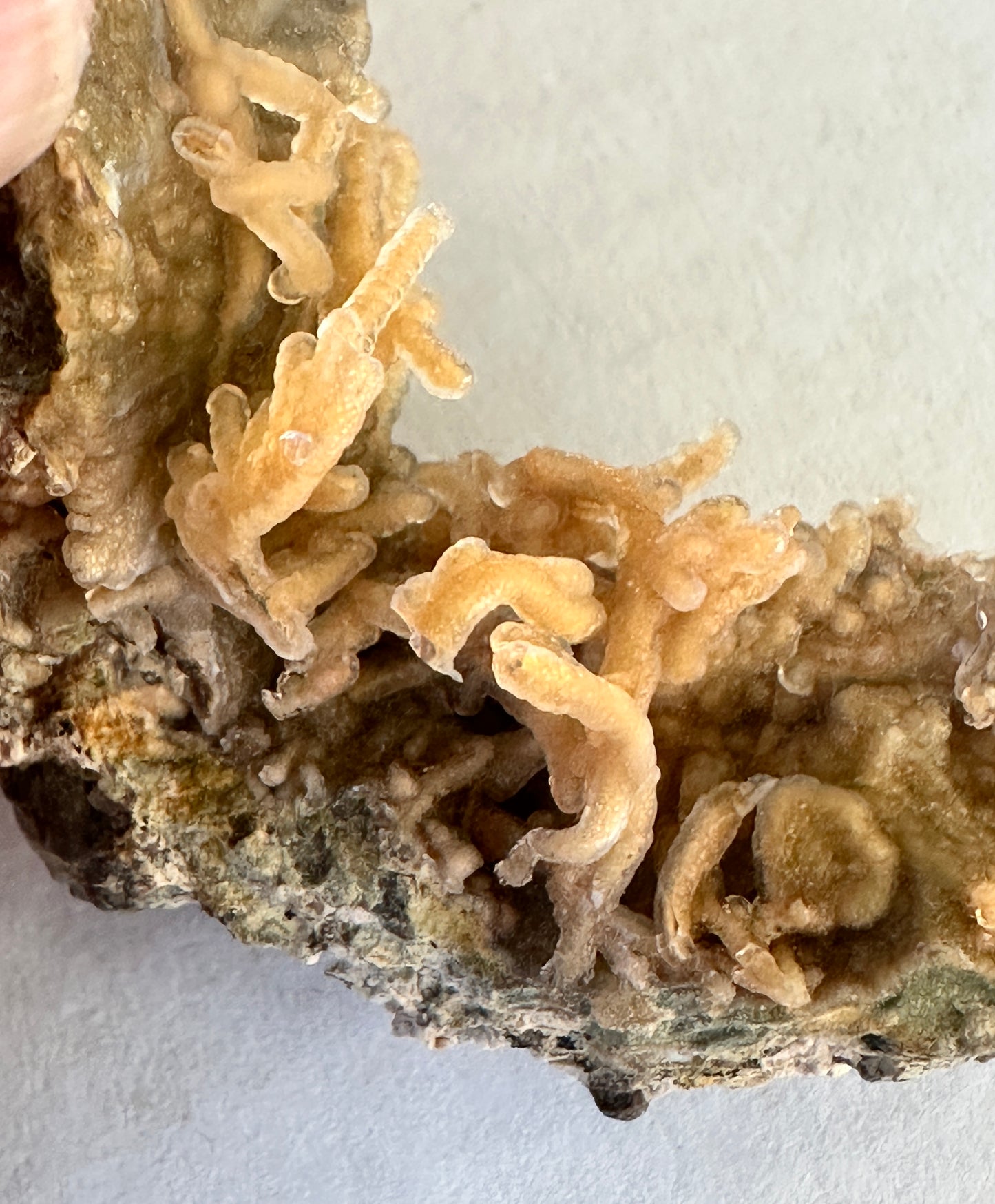 Chalcedony "worms" ~Hyalite.