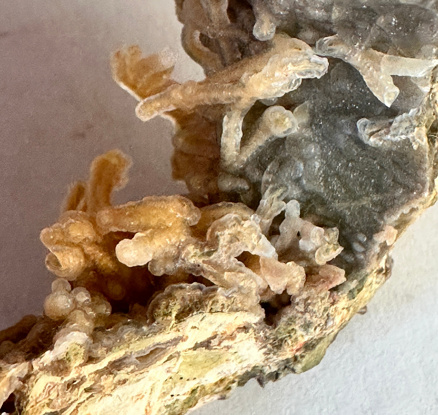 Chalcedony "worms" ~Hyalite.