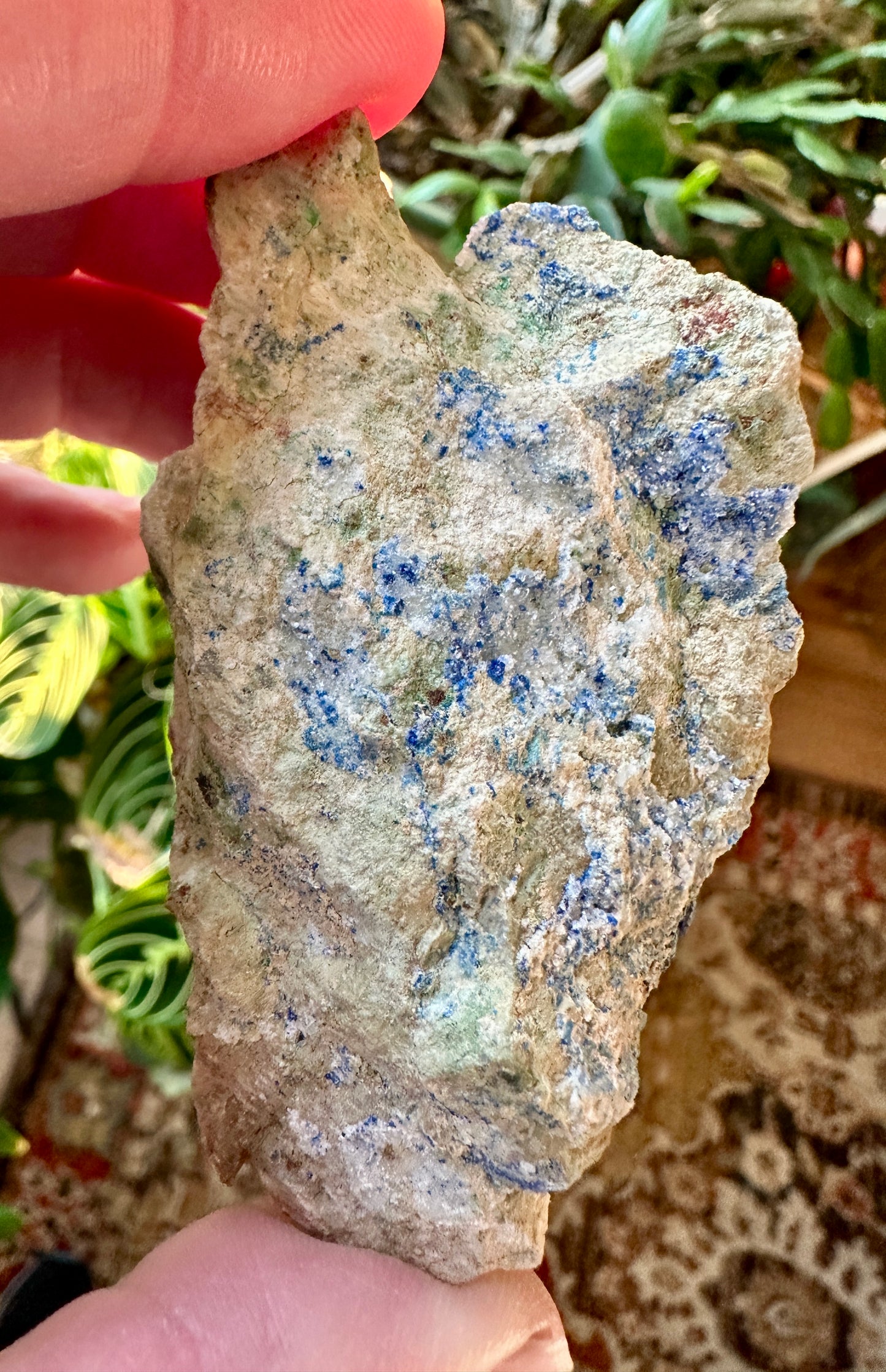 Kinoite