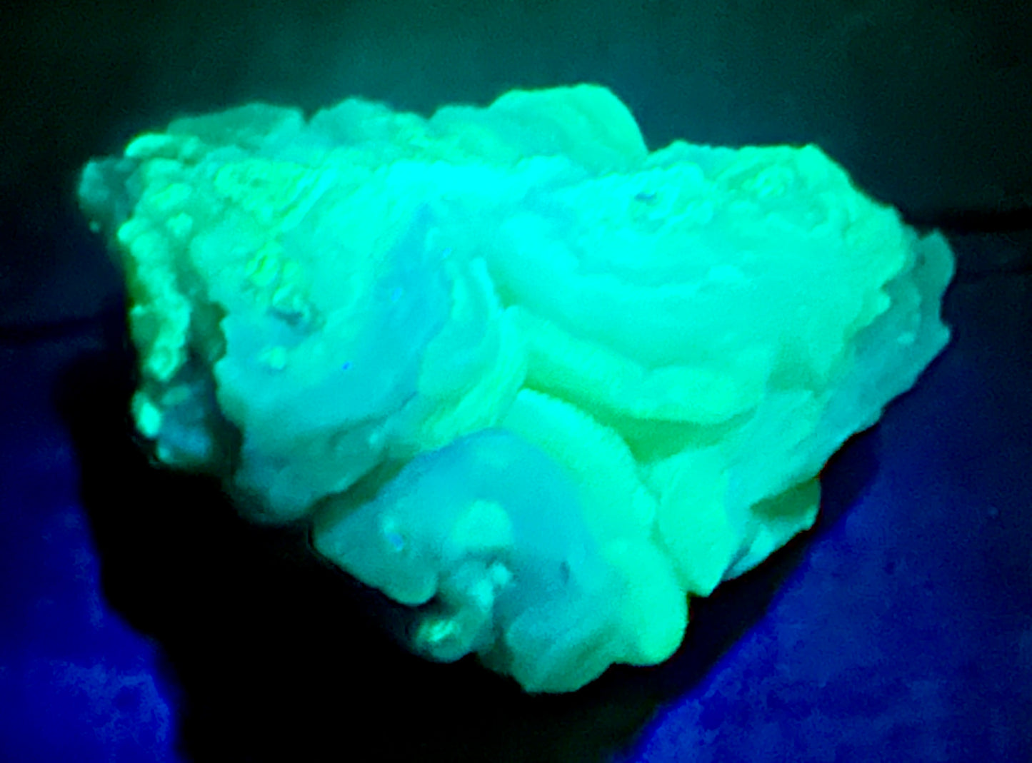 Chalcedony Rose (UV)
