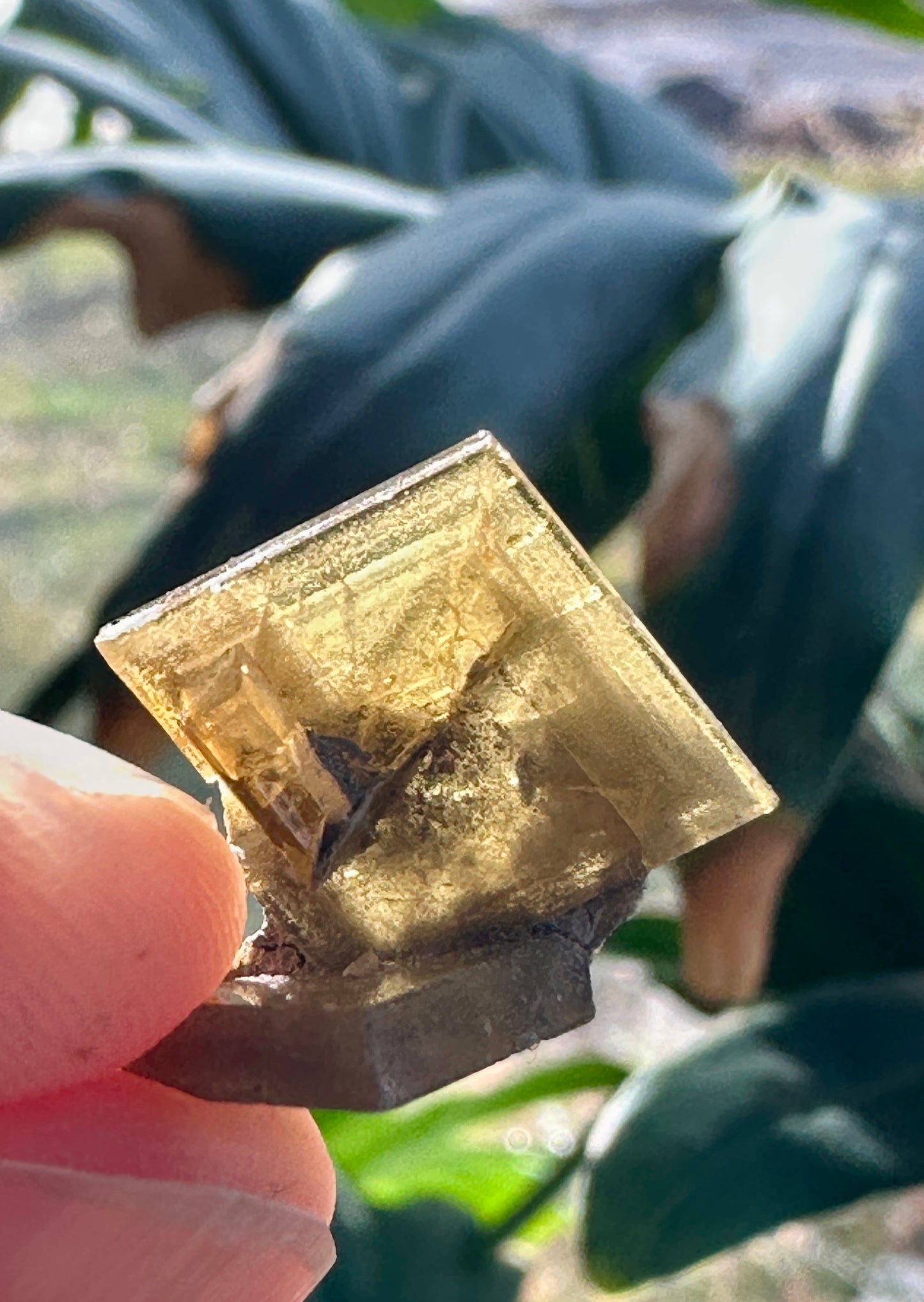 Barite Crystals