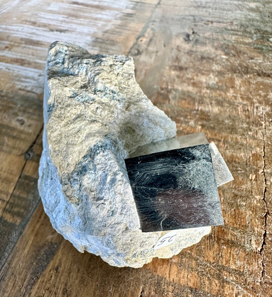 Pyrite Cube in Marl