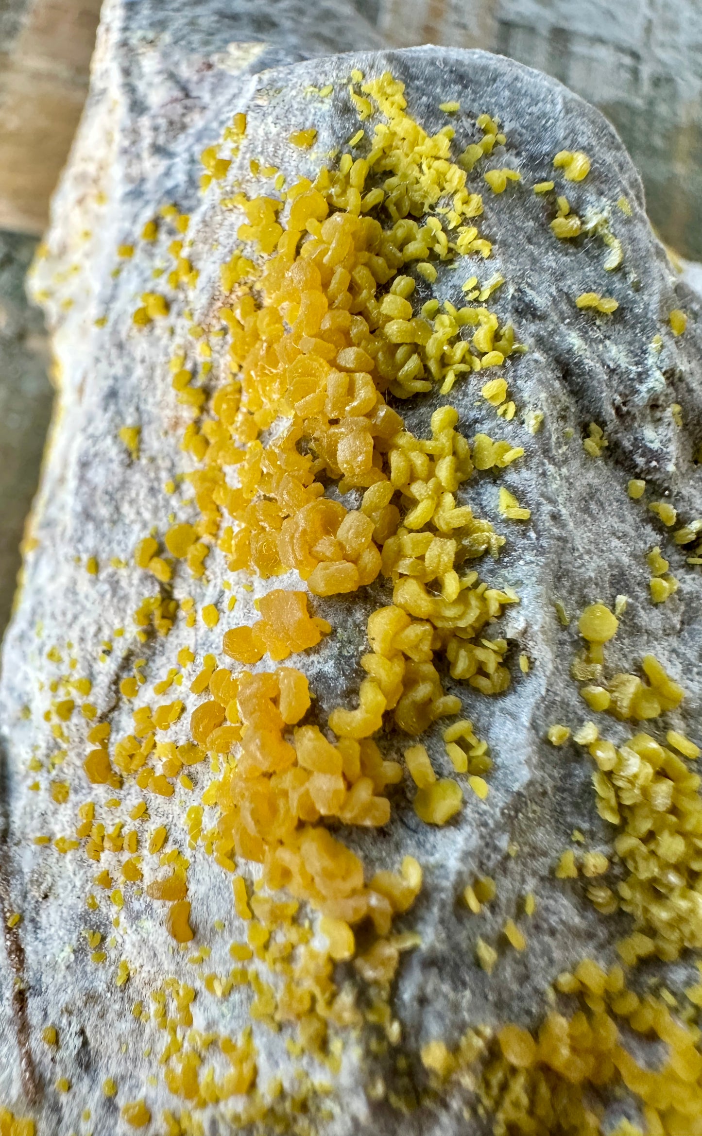Mimetite on matrix