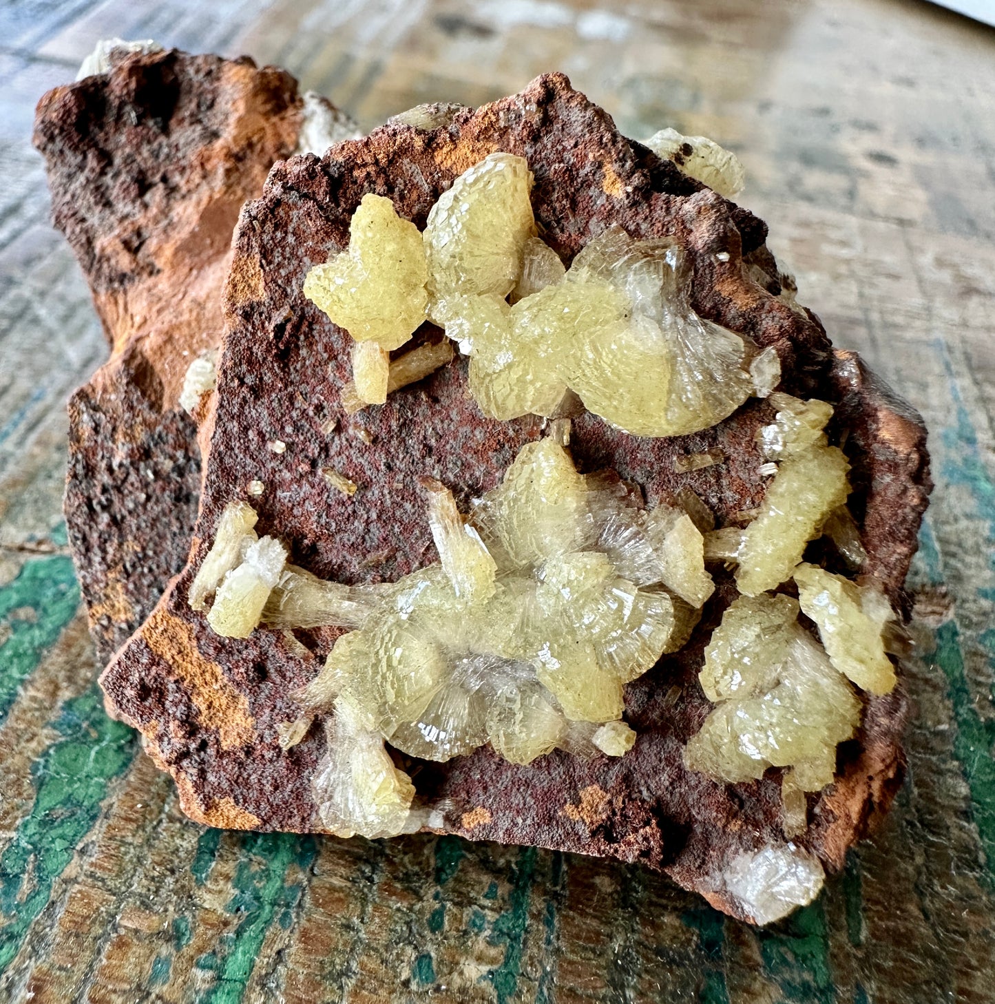 Adamite on Matrix