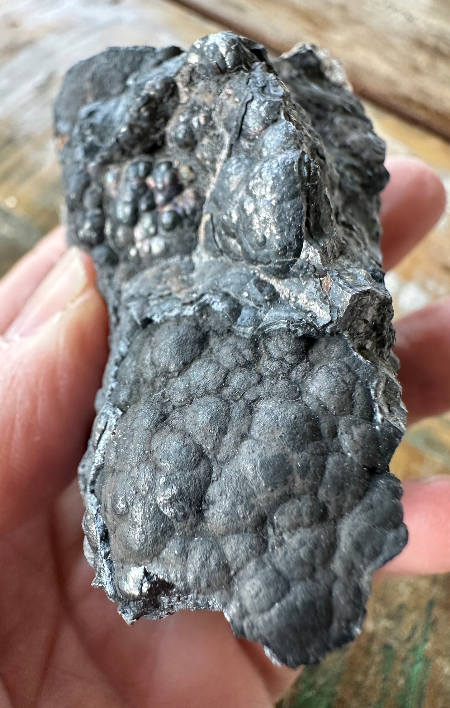 Coronadite