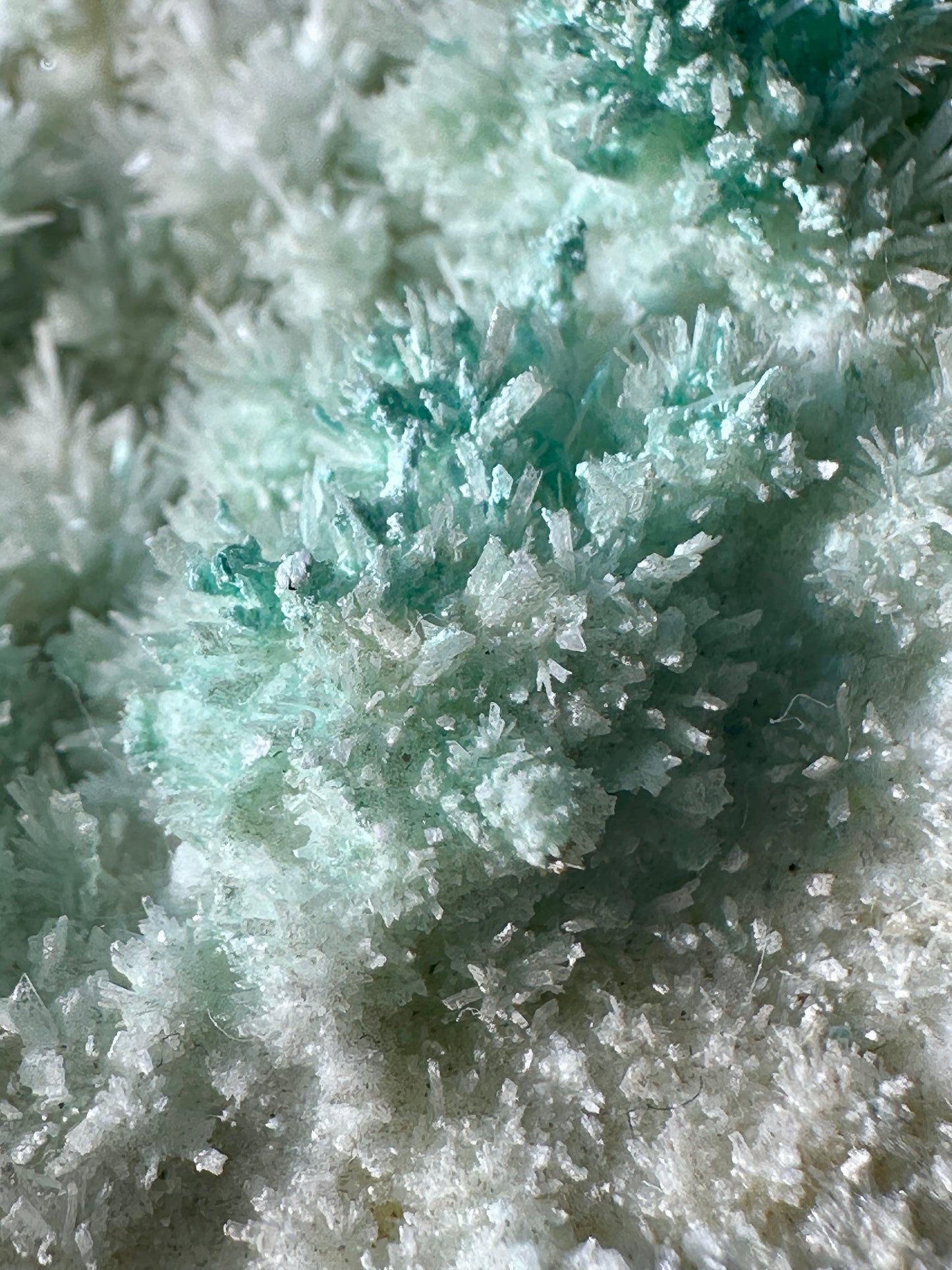 Chalcanthite in Aragonite