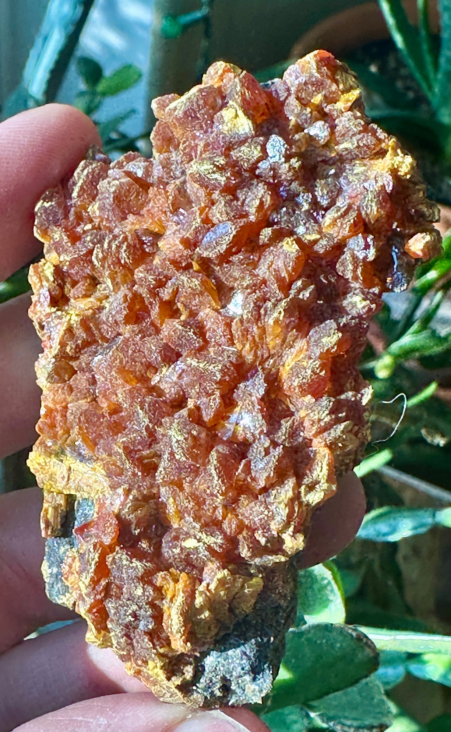 Orpiment crystals