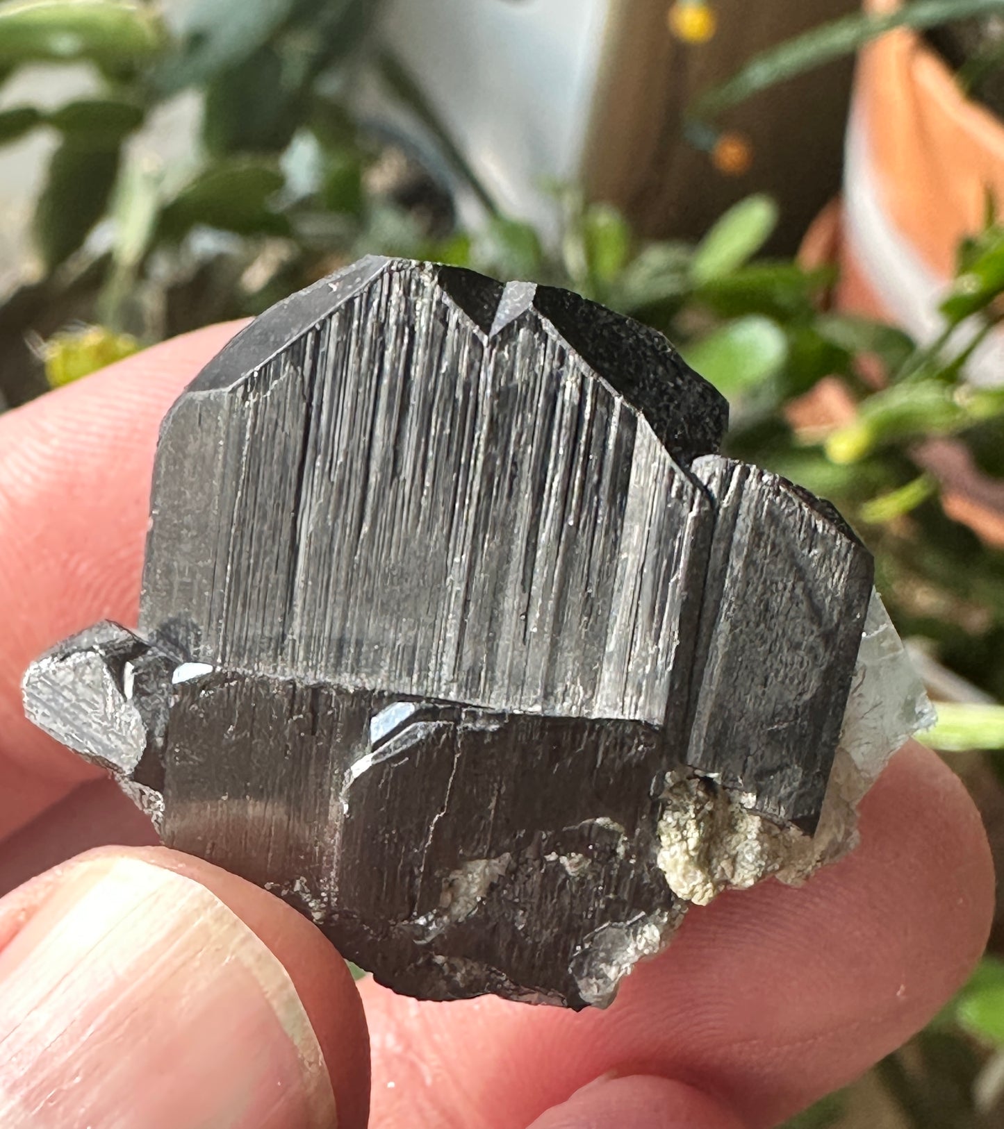 Wolframite & Fluorite