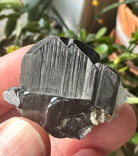 Wolframite & Fluorite