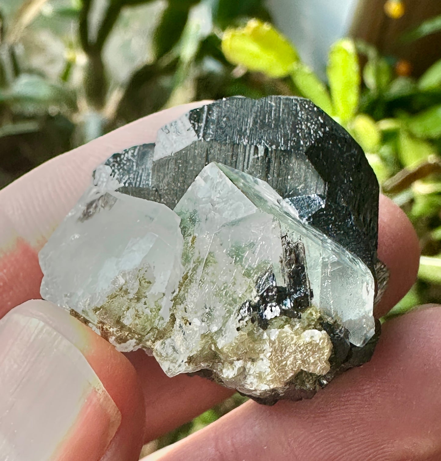 Wolframite & Fluorite