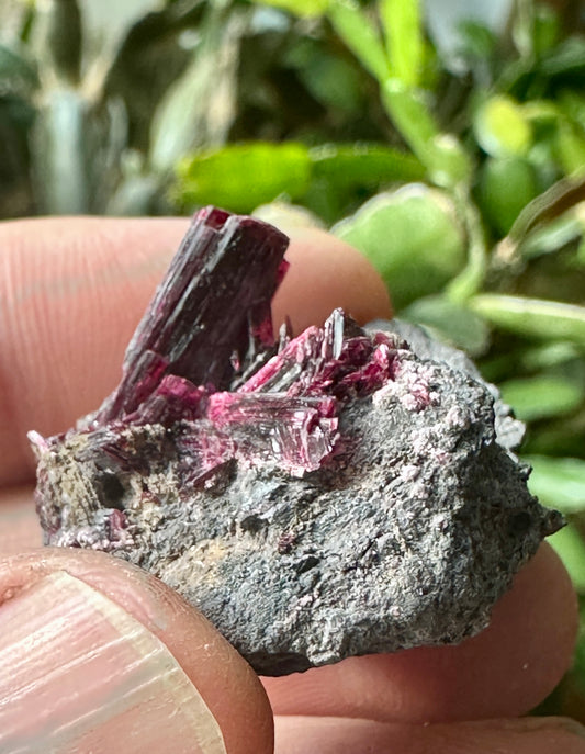 Erythrite crystal