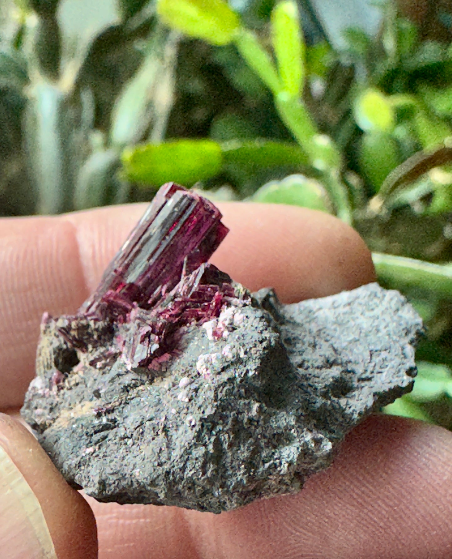 Erythrite crystal