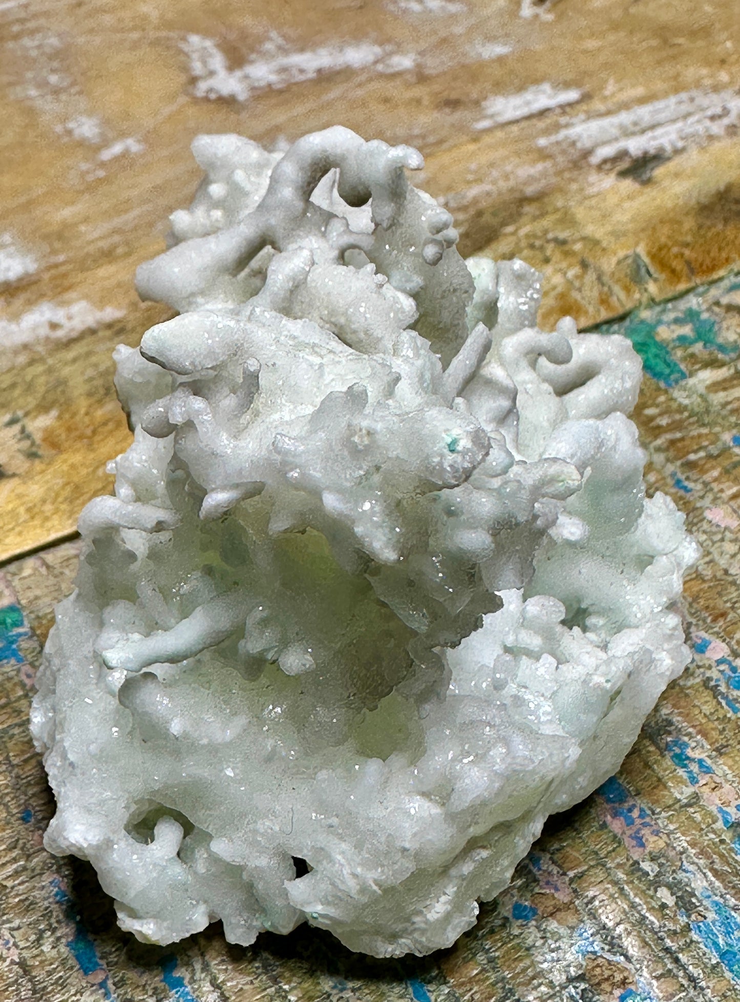 Aragonite var: flos-ferri