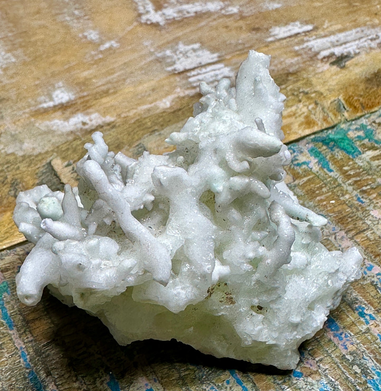 Aragonite var: flos-ferri