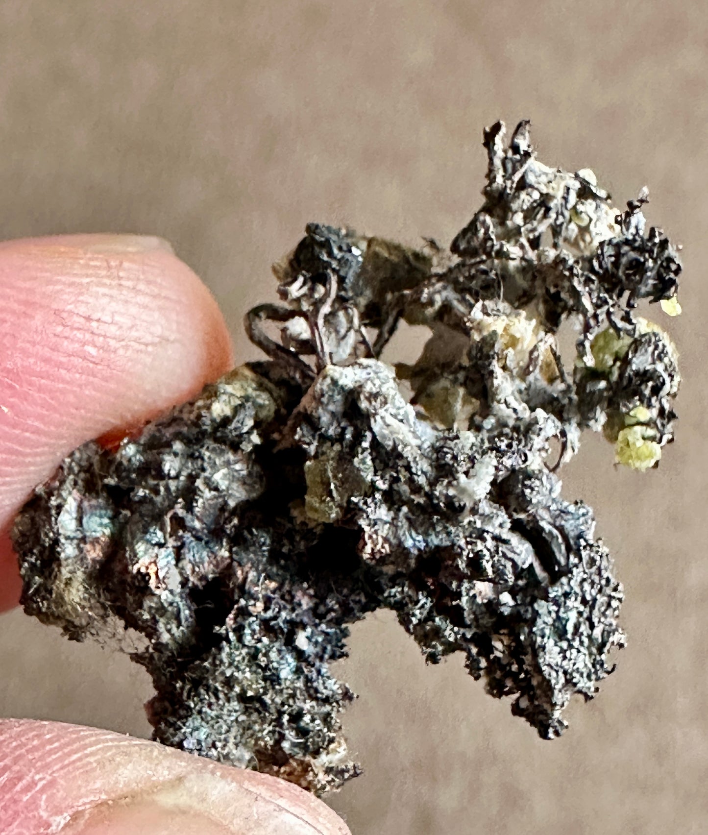 Native Silver