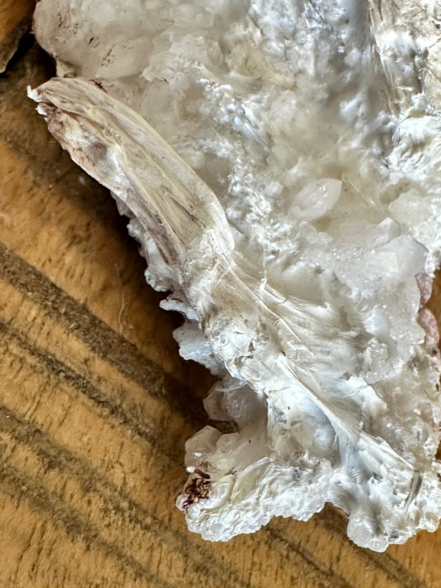Palygorskite & Calcite