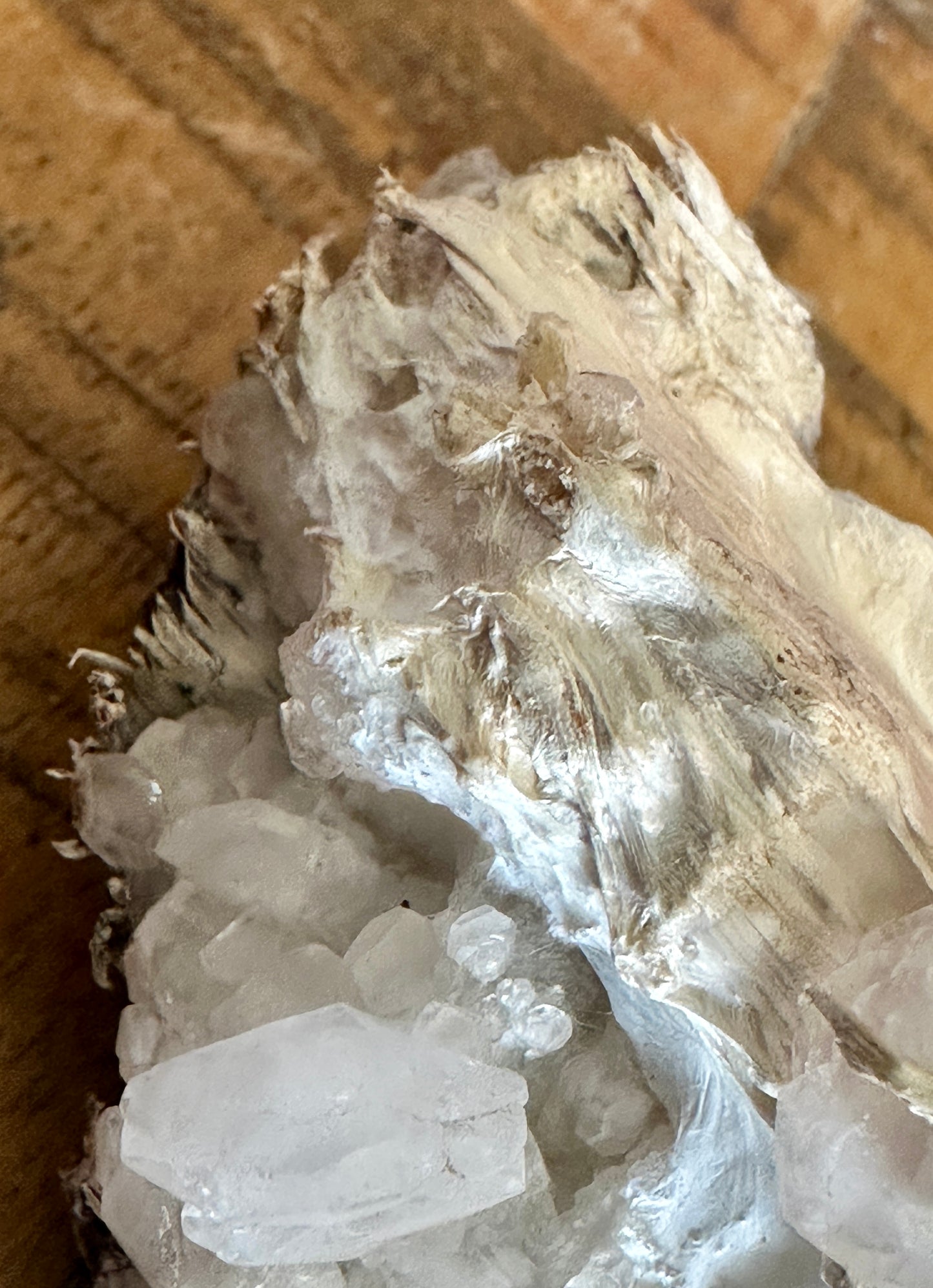 Palygorskite & Calcite