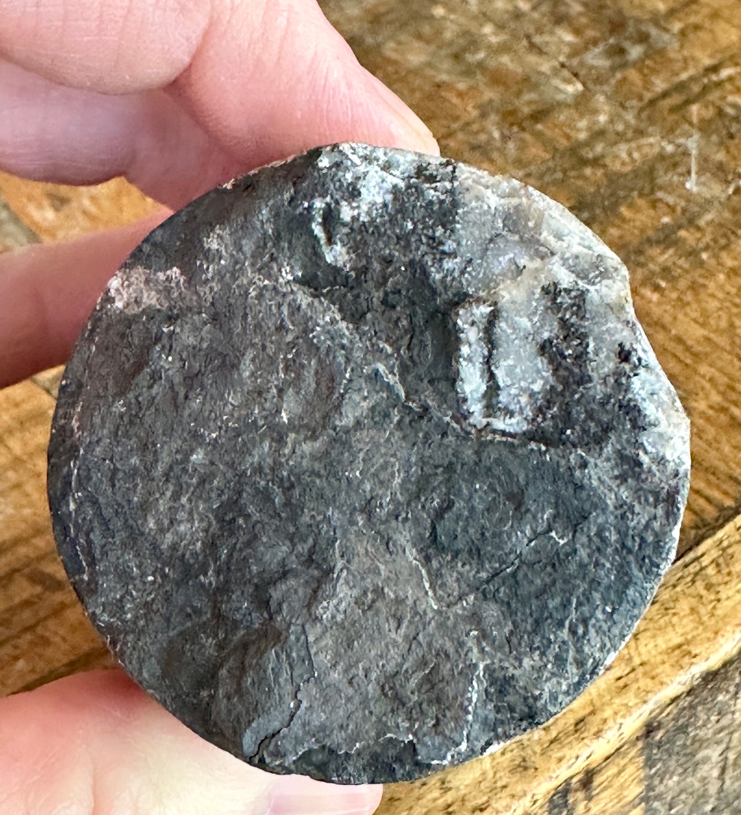 Core Sample
