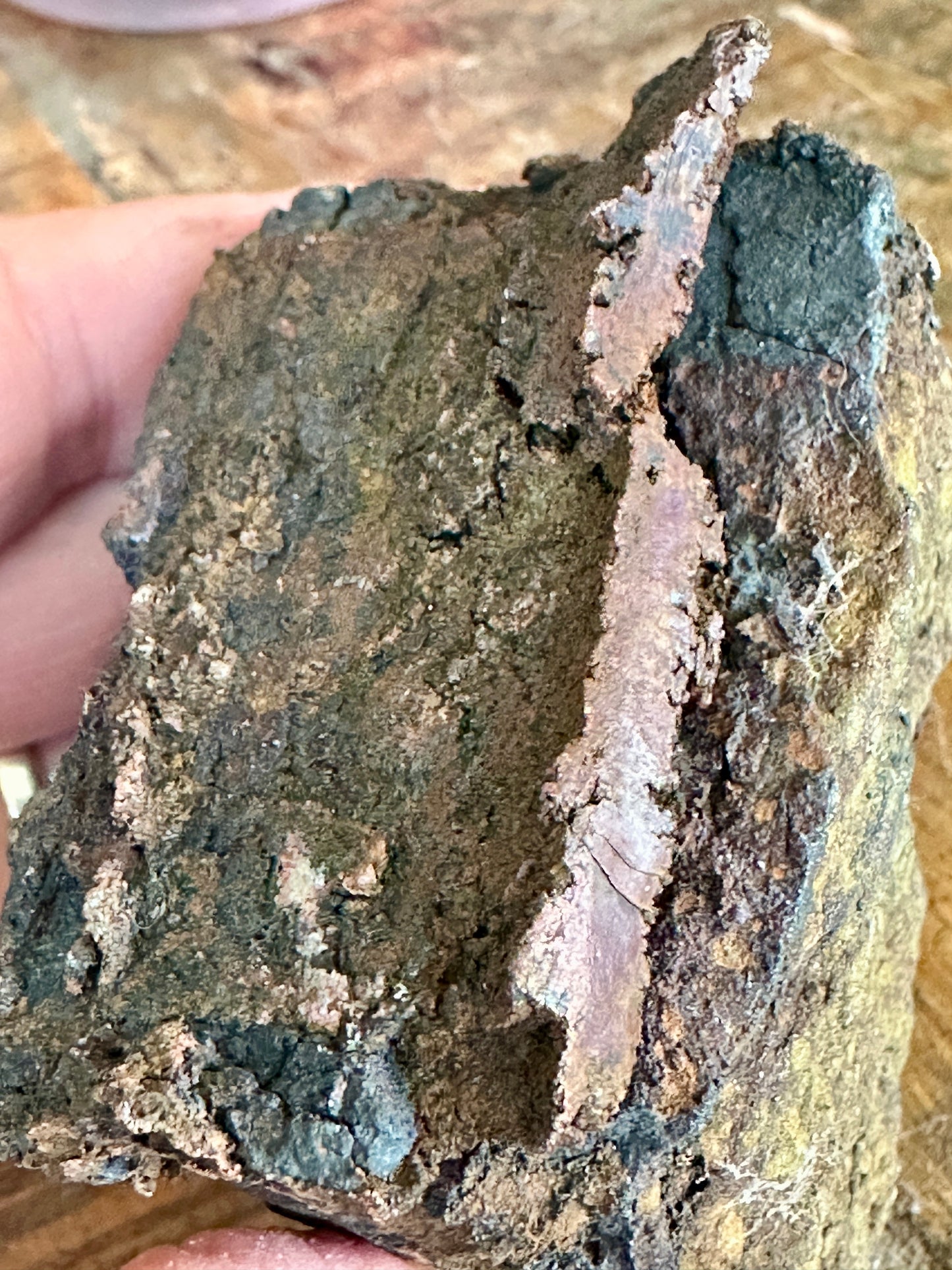 Roast Copper