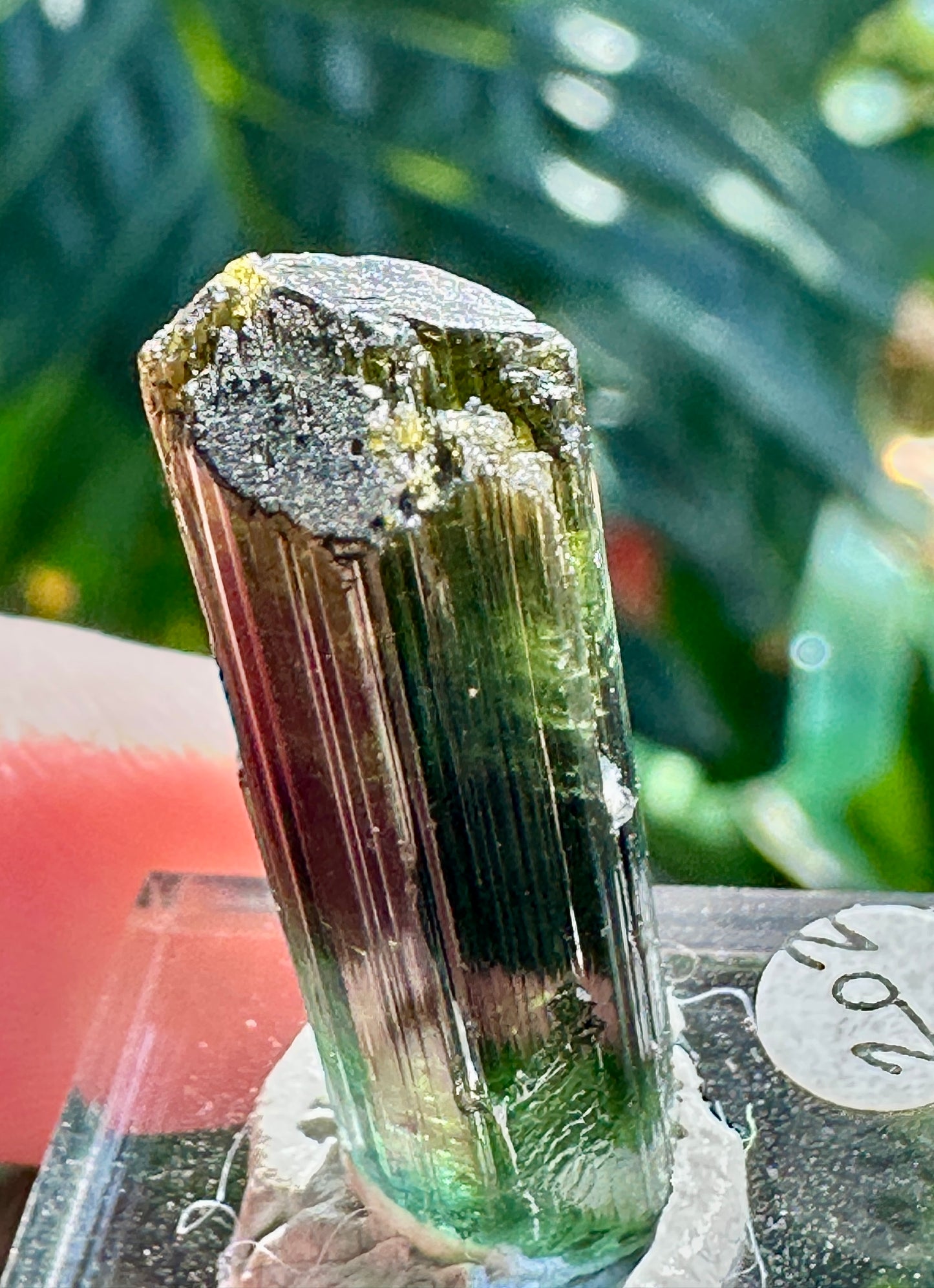 Tourmaline
