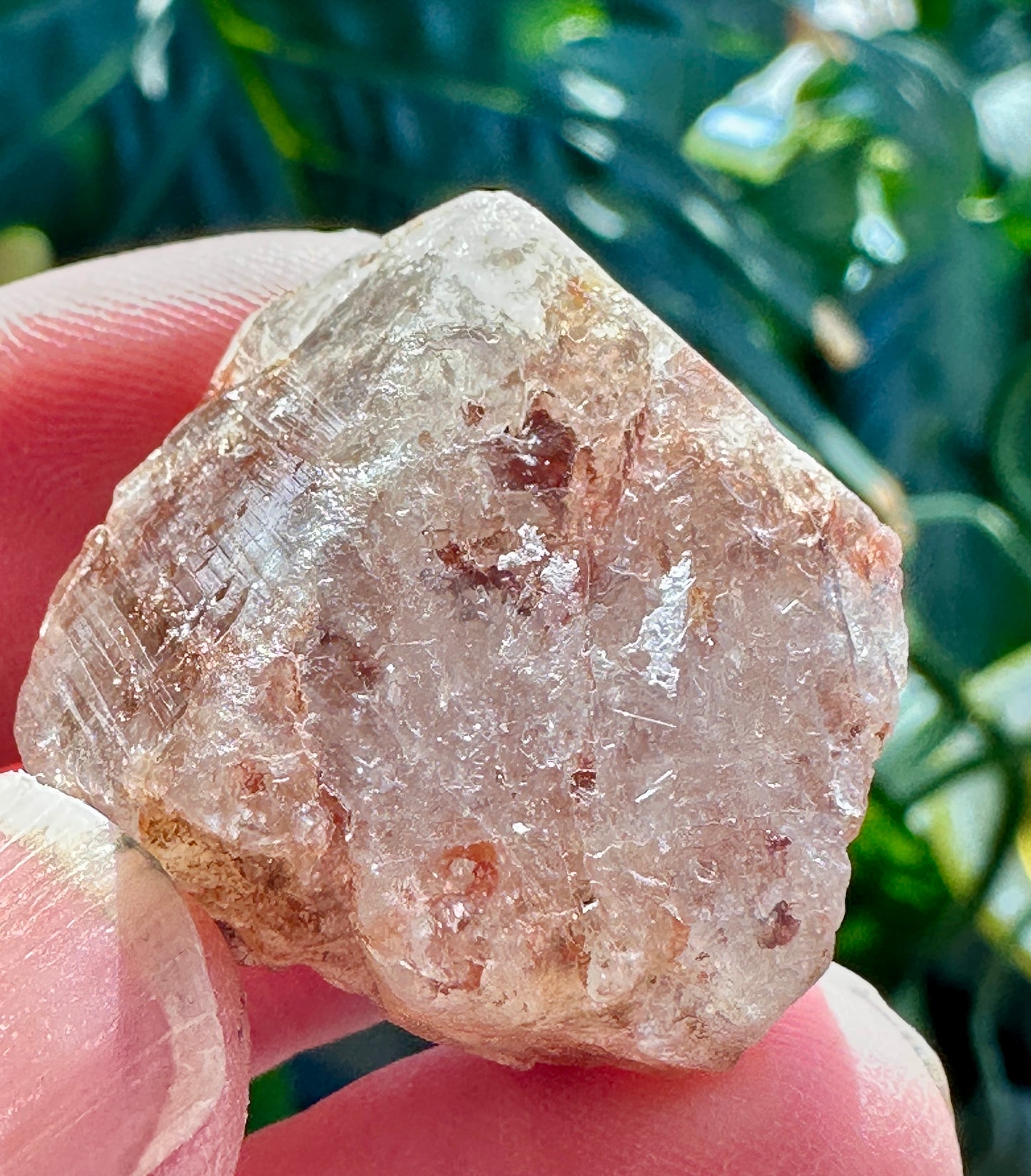 Bi-Colored Topaz