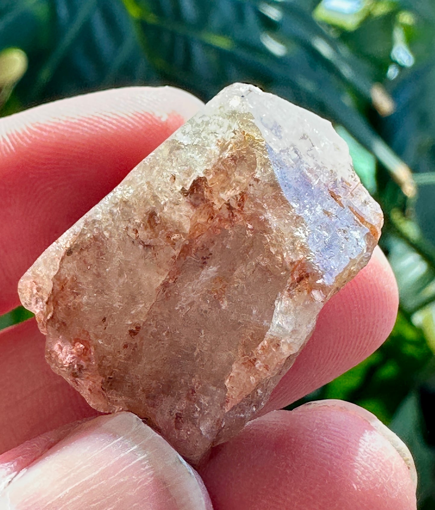 Bi-Colored Topaz
